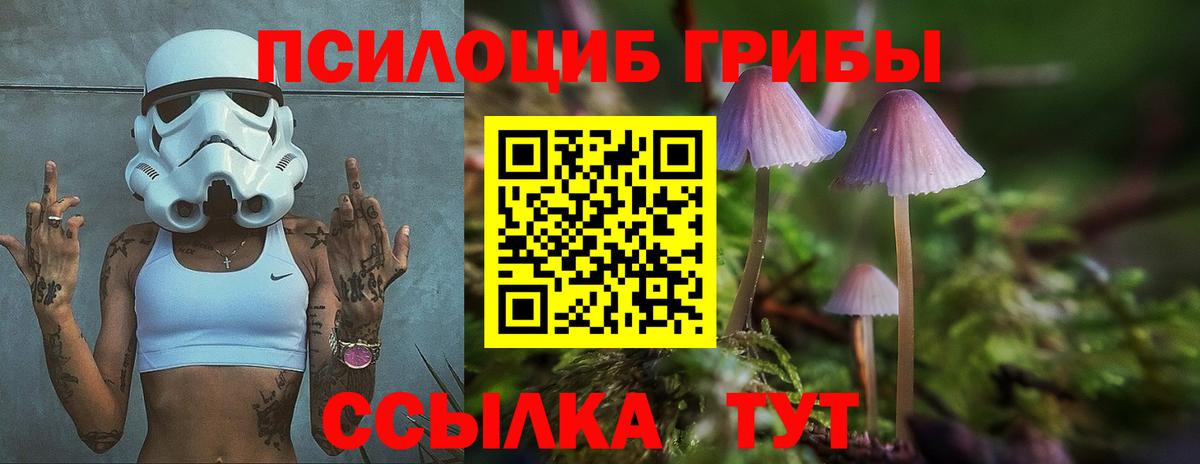 Псилоцибиновые грибы MAGIC MUSHROOMS  Вход с VPN  Псилоцибиновые грибы MAGIC MUSHROOMS  Чебоксары 