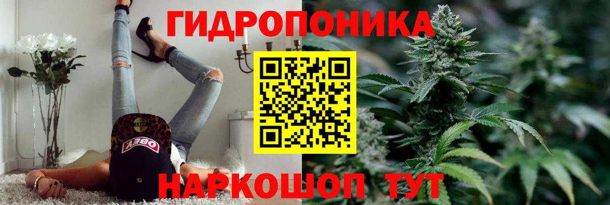 Чебоксары  Бошки Шишки гибрид  Каннабис SATIVA & INDICA  Марихуана план  Вход с VPN  Марихуана Amnesia 